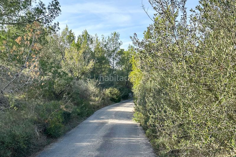 Foto 071ccca6-a7c8-4388-bbe9-ea9360300df3. Terreny residencial a Manacor centre Manacor
