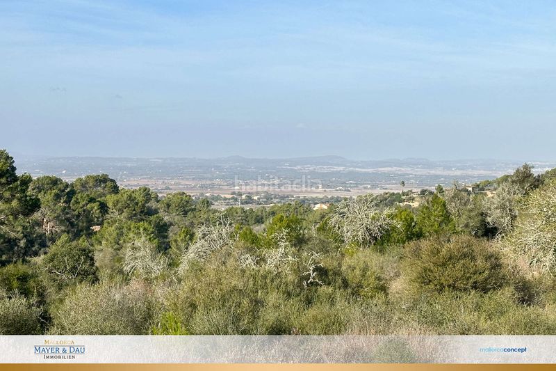 Foto 5e062d38-aa75-40e9-902a-1adc84c05a5c. Terreny residencial a Manacor centre Manacor