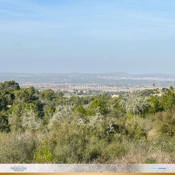 Foto f87ad977-5f5a-427b-8a92-339fd772c572. Terreny residencial a Manacor centre Manacor