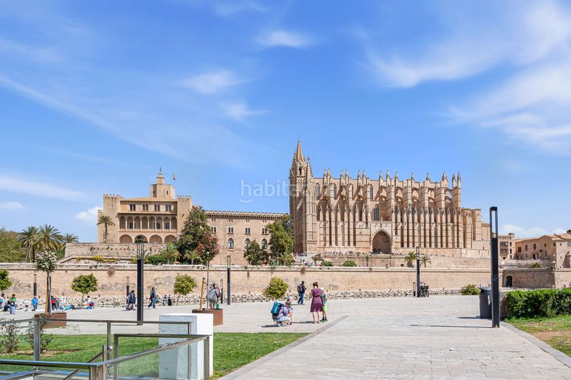 Foto 08e131b0-6a39-4182-92de-2ccaadeb7cf5. Planta baixa a La Seu Palma de Mallorca