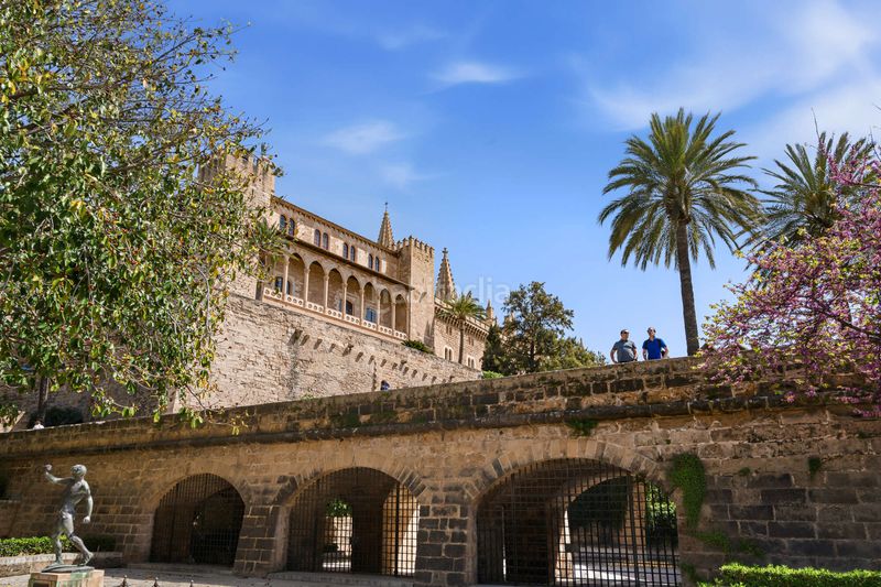 Foto e30a185e-7a00-45d1-b5b5-7bf173a6a588. Planta baixa a La Seu Palma de Mallorca