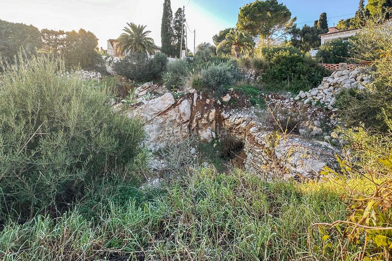 Foto 904898d8-6a25-4b9d-963f-18ff76e4f499. Terreny residencial a Font de Sa Cala Capdepera