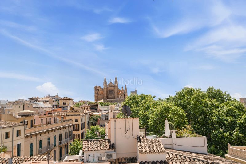 Foto 31b8a1fb-7a62-449b-8f80-91fdebd95fde. Pis a La Llotja-Born Palma de Mallorca