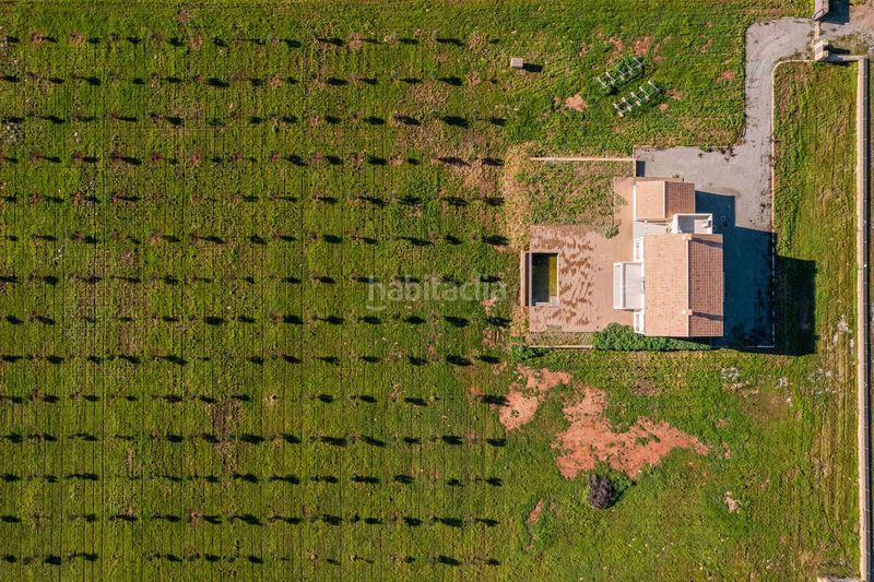 Foto ffb44fe8-1ac5-489f-a6b8-01ed3baecd8e. Casa amb aparcament a Porto Cristo Manacor
