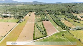 Finca rústica a Ariany. Fantástico terreno edificable en ariany con licencia de obras  o
