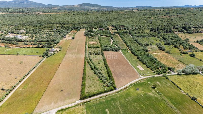 Foto 263bfc36-bebf-45a9-beb3-845605d63be5. Finca rústica a Ariany