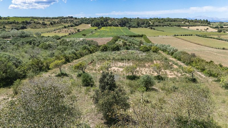 Foto 47a490b9-00e7-46a0-b8aa-cb1f44d9b905. Finca rústica a Ariany