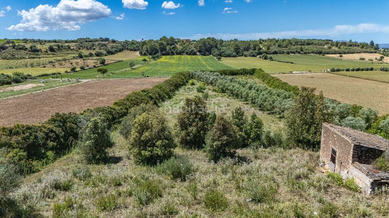Foto 965805e1-f2d9-4916-b214-8b542b868615. Finca rústica a Ariany