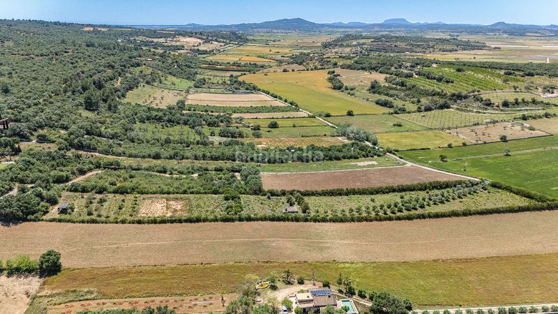 Foto 9bd0e128-ad46-4029-abb8-913a7a7af685. Finca rústica a Ariany