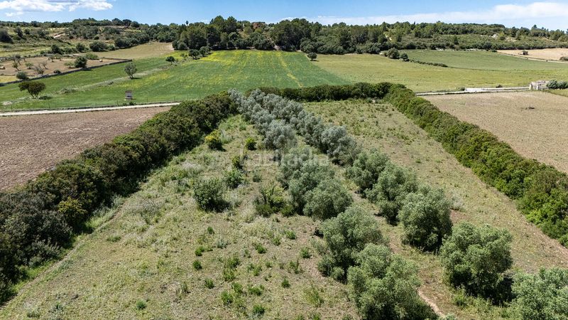 Foto a4cfb93c-49fd-409e-9fe5-5b3cdecdcc47. Finca rústica a Ariany
