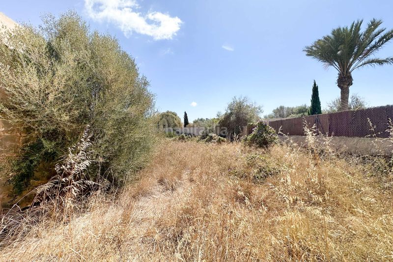 Foto 9e45b765-5dd8-43be-9ea4-68f3ab14d09e. Terreny residencial a Es Llombards Santanyí