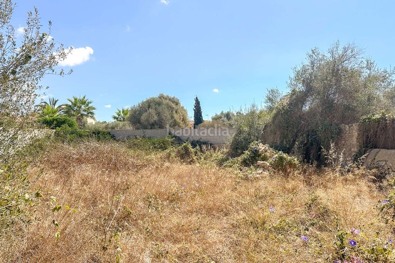 Foto c1bdef25-29b8-4d9e-aaa2-9e82e4bfc534. Terreny residencial a Es Llombards Santanyí