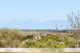 Terreny residencial a Ses Salines Poble