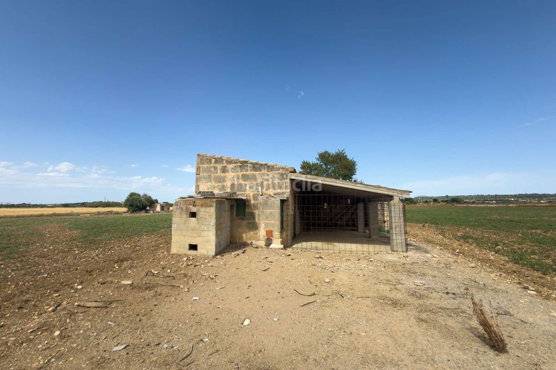 Foto 4dae5e61-fddc-4a27-8101-49e79f4e9876. Finca rústica a Petra