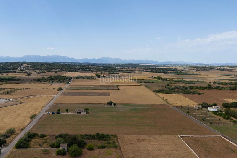 Foto ed8e9052-1297-49fa-8767-cd032aa01604. Finca rústica a Petra