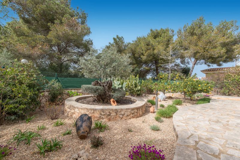 Foto 41d04a0b-3e0d-4da4-ac5b-4936ade6d042. Casa amb calefacció aparcament a Sa Ràpita - Ses Covetes Campos