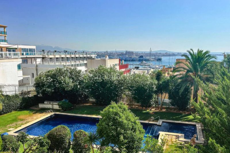 Foto 414153aa-ba59-43cc-9bec-3d186222ed8f. Apartament amb calefacció aparcament a Cort Palma de Mallorca