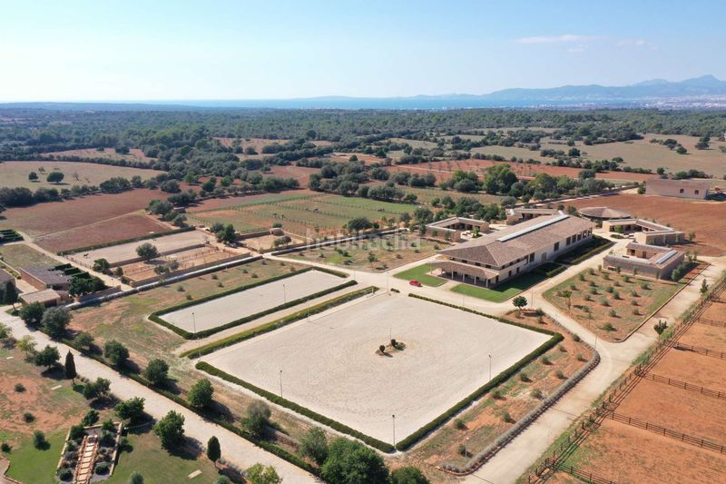 Foto c3969e1d-9557-4e99-a72c-6993e0a90be1. Masia amb calefacció aparcament a Llucmajor interior Llucmajor