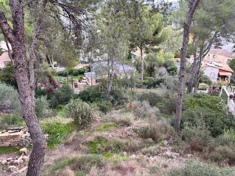 Foto 2e4e32fa-c065-4500-a95a-6da0dcf49ef4. Terreny residencial a Peguera Calvià