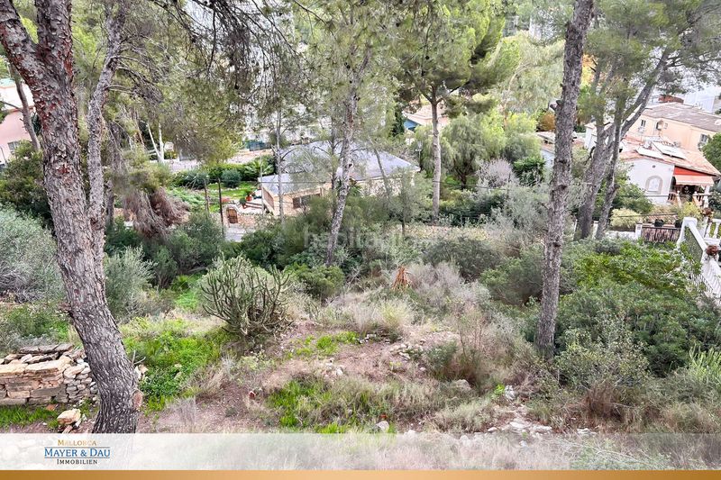 Foto 3c9ea8b9-9aaa-49b4-83a2-53646bf60029. Terreny residencial a Peguera Calvià