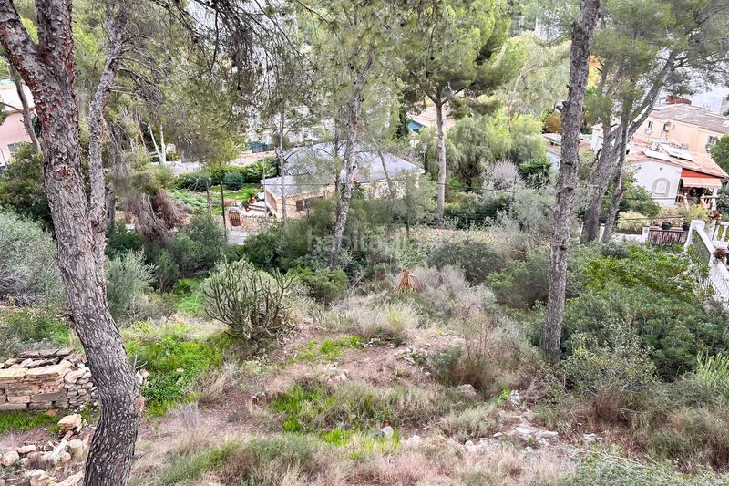 Foto 97be55f5-57a8-4e04-b794-5f20d4465010. Terreny residencial a Peguera Calvià