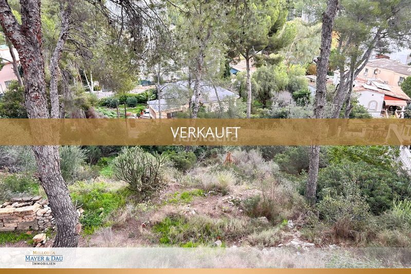 Foto ab75b3c8-48ba-48ca-923b-f3dadb8e34b3. Terreny residencial a Peguera Calvià