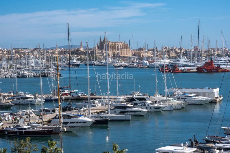 Foto ab711d1d-171f-4b28-bbe8-dc8ce2018656. Piccolo appartamento in El Terreno Palma de Mallorca