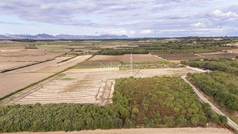 Foto b4e3af1d-fda5-4081-8af3-57398de3f024. Terreny residencial a Muro