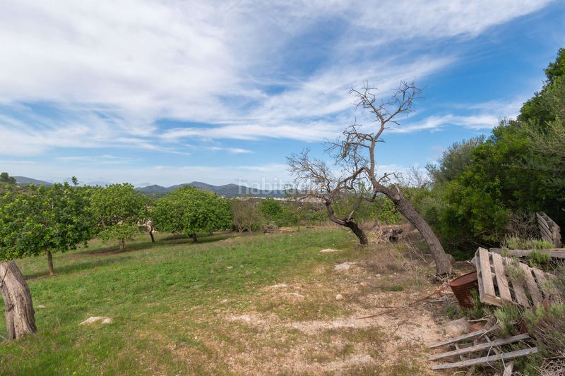 Foto 32384073-6663-4920-b7f1-8999e4e08d8c. Masia amb aparcament a Artà poble Artà