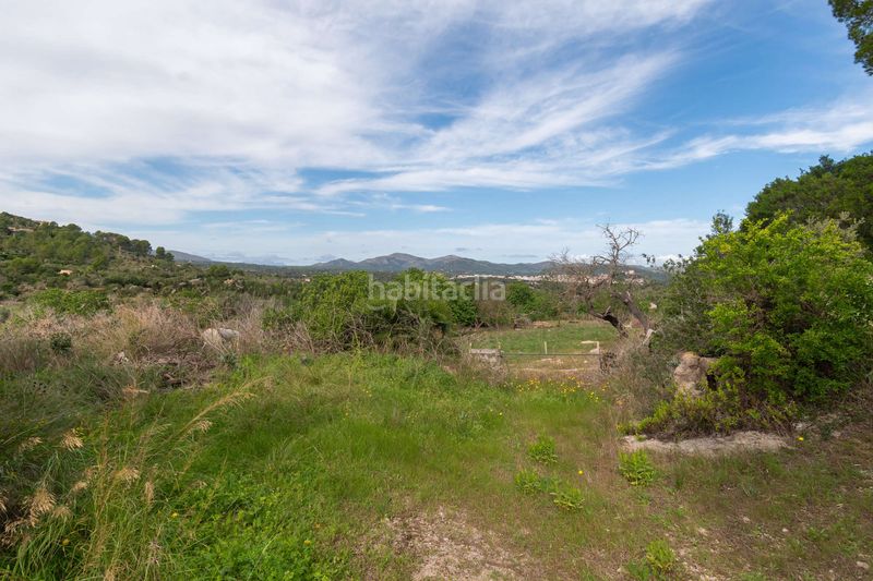 Foto 42d3f426-c941-4e7b-9030-cf6246ab6507. Masia amb aparcament a Artà poble Artà