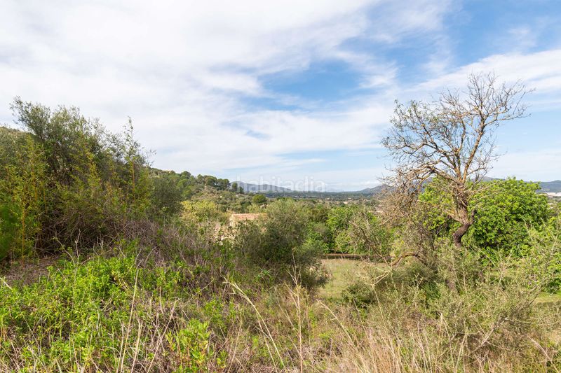 Foto aedb2ea9-88c8-4e4c-b3c2-793f83c7123a. Masia amb aparcament a Artà poble Artà