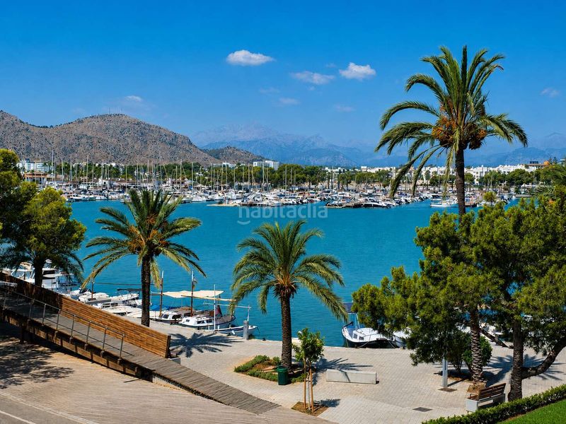 Foto a5dce2a4-117e-4e35-82bd-fb685782a278. Pis a ciutat d´Alcúdia Alcúdia