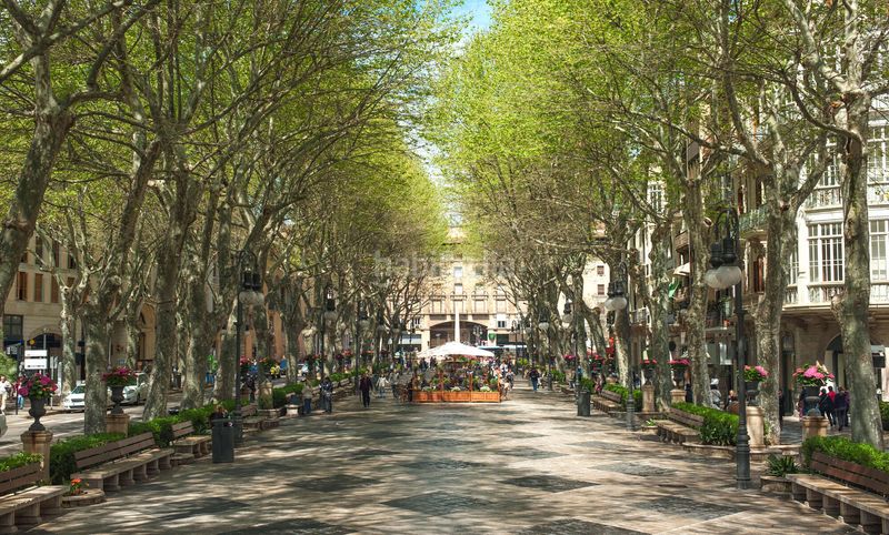 Foto 47a43e85-c565-47bf-85be-ffa8066e498a. Pis amb calefacció a Cort Palma de Mallorca