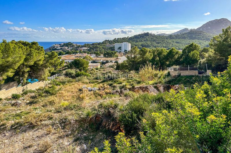 Foto 1da48ee3-afee-4376-9d67-91f1f8583d3c. Terreny residencial a Font de Sa Cala Capdepera
