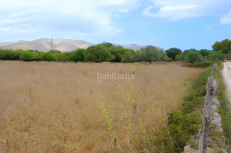 Foto 64c5543c-d7c6-4993-8fed-cb8dd3b02451. Terreny residencial a Capdepera poble Capdepera