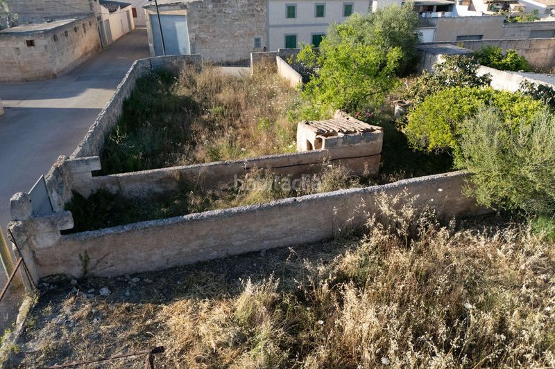 Foto 05a09fa3-af8d-40dc-8363-a21b3738d1ca. Terreny residencial a Ariany
