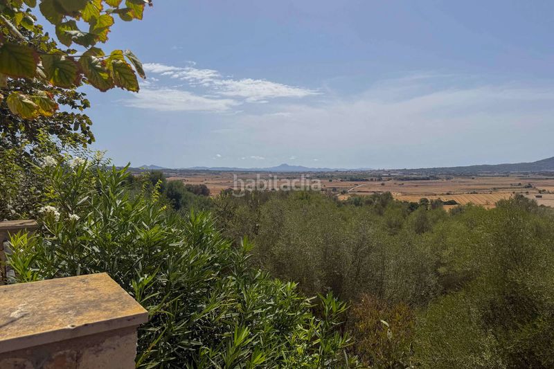 Foto 20d20f33-3526-4c5c-90d1-c07af47e9741. Terreny residencial a Ariany