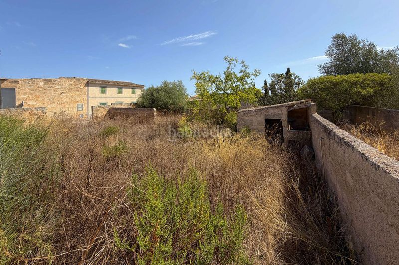 Foto 53740fc8-8563-48a2-9881-31a00f5bb4bd. Terreny residencial a Ariany