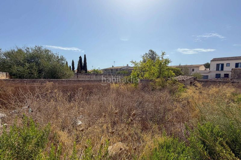 Foto a45a93be-afbf-4403-9080-fba202e919a7. Terreny residencial a Ariany