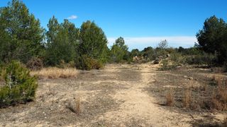 Finca rústica  Calle font 12. Terreno en excelente ubicación con posibilidad de casa de madera