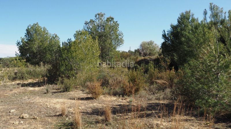 Foto be4b8f30-b84b-4ba1-8b7a-b70f593487b5. Finca rústica a calle font 14 a Font de la Teula - Mas de Pavia Torrent