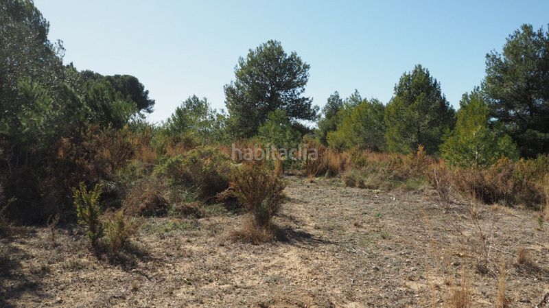 Foto fbbe1a85-6f3e-4513-9dd1-22543517b96a. Finca rústica a calle font 14 a Font de la Teula - Mas de Pavia Torrent