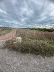 Rural plot in Doctor Palos - Alto Palancia. Se vende terreno rustico en término sagunto