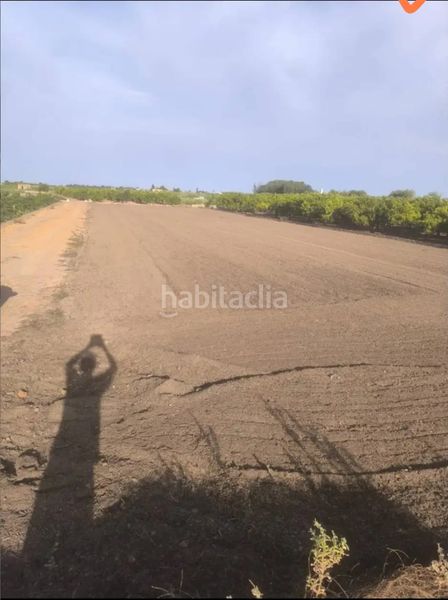 Foto 9aa0d2f8-14a1-4ac1-9f06-aa713f257ecd. Finca rústica a Doctor Palos - Alto Palancia Sagunt