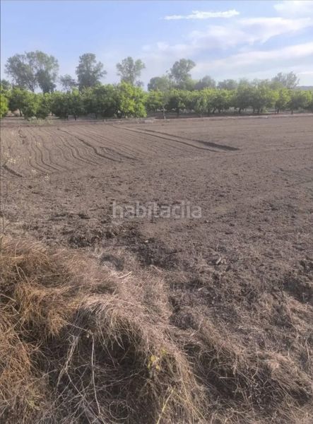 Foto cd2ca350-a9a8-4445-bed7-233433a12b41. Finca rústica a Doctor Palos - Alto Palancia Sagunt
