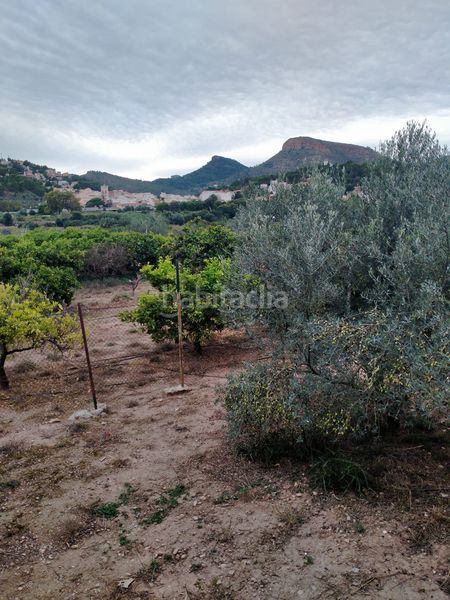 Foto 177793fa-2391-4274-a066-6a65a1123f43. Finca rústica a Gilet