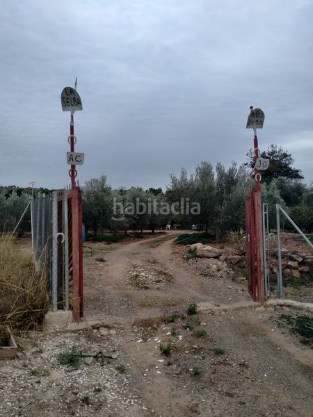 Foto 443e2c0a-e91c-44e7-9372-fcf62e8ff94e. Finca rústica a Gilet