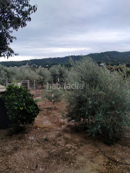 Foto dc5a6c2c-dbff-410a-9159-9db3e6d3fe34. Finca rústica a Gilet