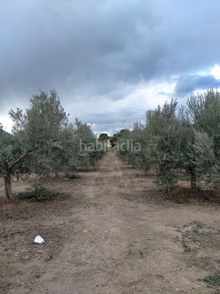 Foto dcf4c26e-7558-41c3-a844-9f48249868df. Finca rústica a Gilet