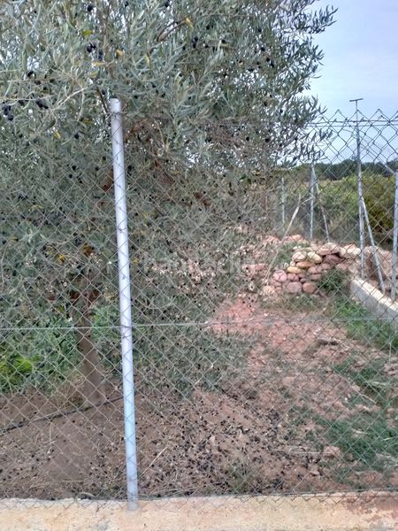Foto f612110b-9843-4c96-8417-77271c72c9af. Finca rústica a Gilet